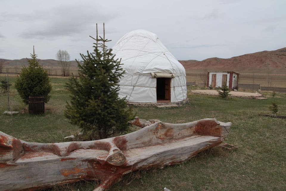 Une yourte blanche est installée dans un champ herbeux derrière un banc rustique sculpté dans une bûche, avec des collines au loin.