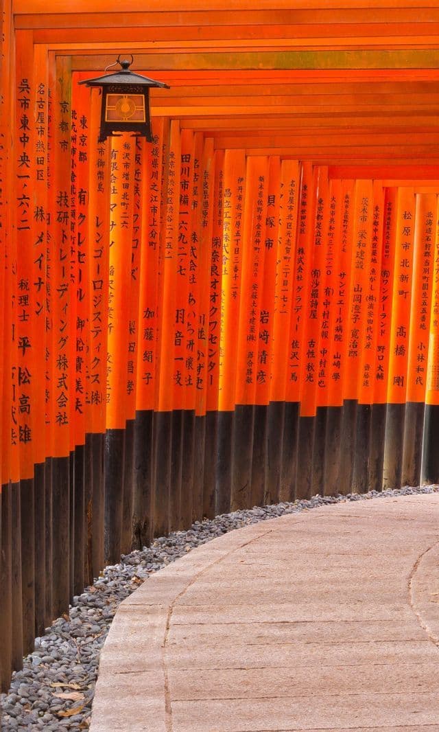 Un sentiero di pietra curvo si snoda attraverso un tunnel di cancelli torii arancioni con basi nere e calligrafia giapponese.