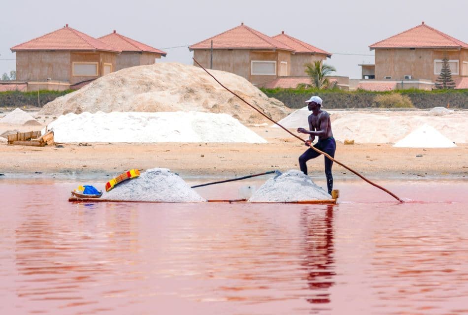 A man on a small boat uses a long pole to harvest salt from a pink lake, with salt piles on the shore.