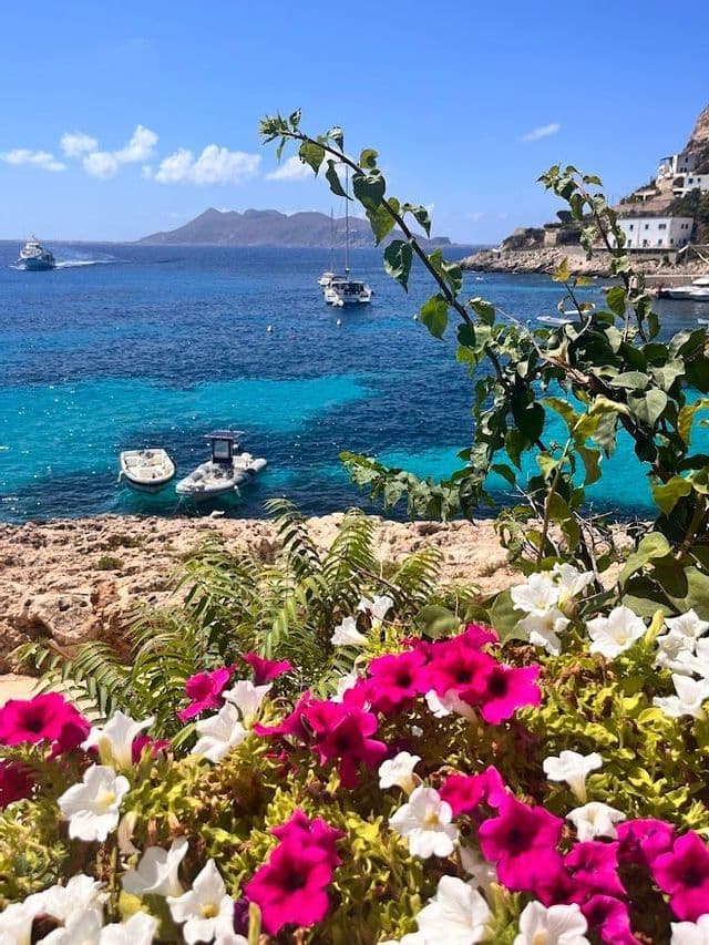 Pink and white flowers on a rocky coast overlooking a cove with turquoise water and several boats.