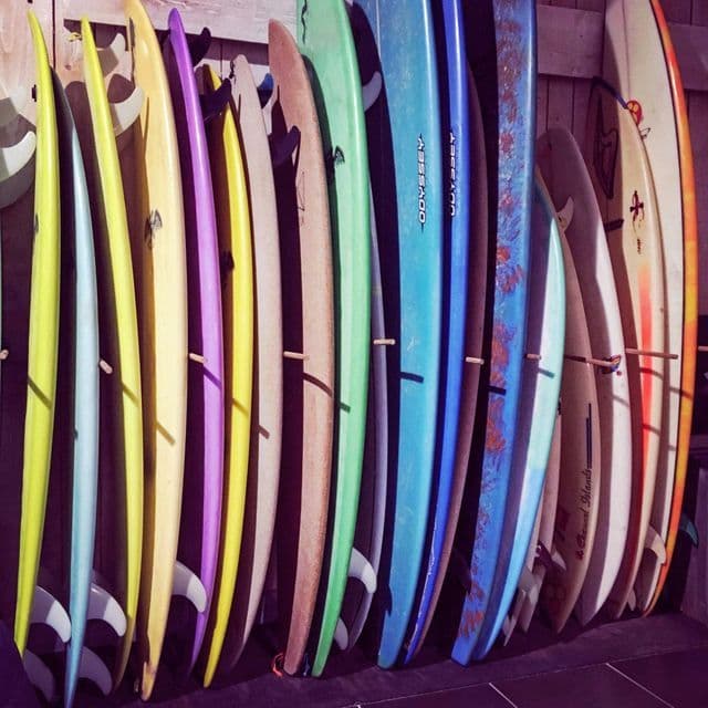 Une rangée de planches de surf colorées de diverses tailles et designs, dressées dans un râtelier contre un mur en bois.