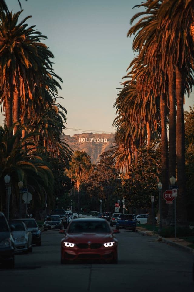 The Hollywood sign is visible at the end of a street lined with tall palm trees at sunset, with cars on the road.