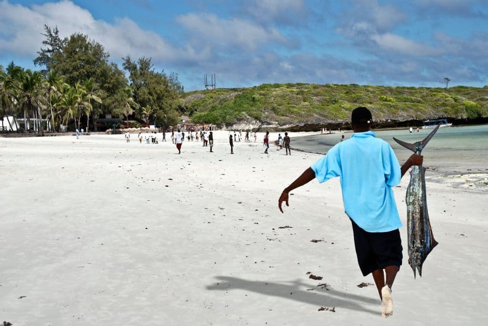 Ein Mann in einem blauen Hemd geht über einen weißen Sandstrand und trägt einen großen Fisch am Schwanz.