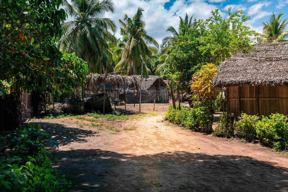 A dirt path winds through a tropical village with thatched-roof huts and a wooden boat among lush palm trees.
