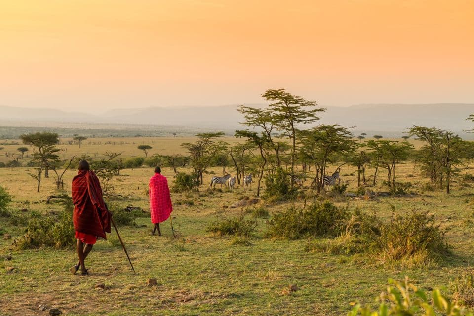 Dos personas masái con túnicas rojas de pie en una sabana verde, observando cebras entre árboles de acacia durante un atardecer dorado.