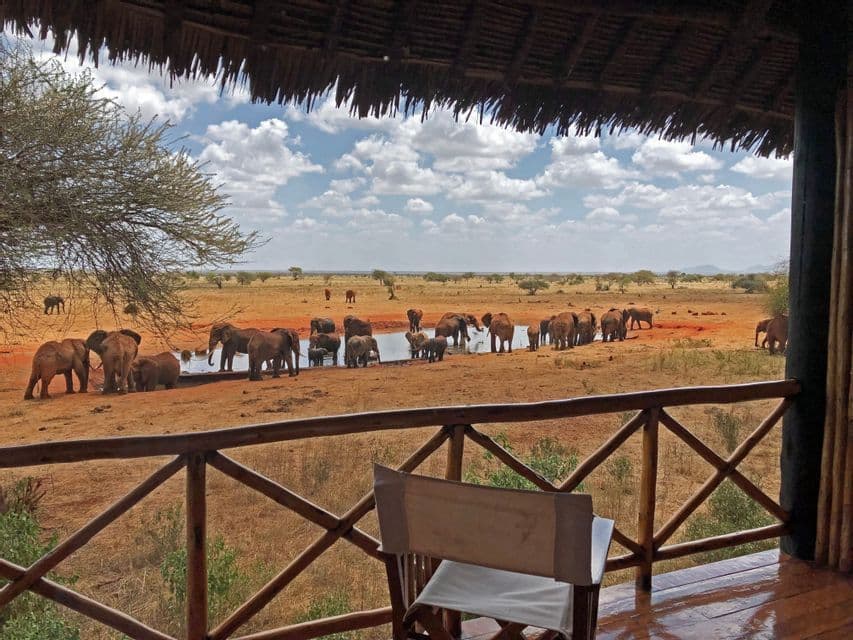 A herd of elephants drinks at a watering hole in the savanna, viewed from a lodge balcony with a thatched roof.