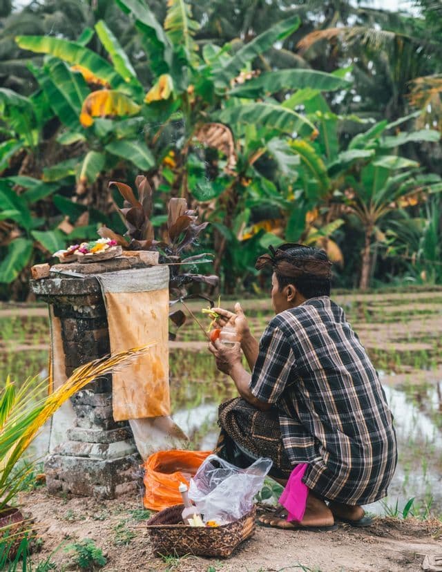 Una persona in abiti tradizionali si accovaccia per preparare un'offerta rituale con incenso presso un piccolo santuario di pietra in una risaia.