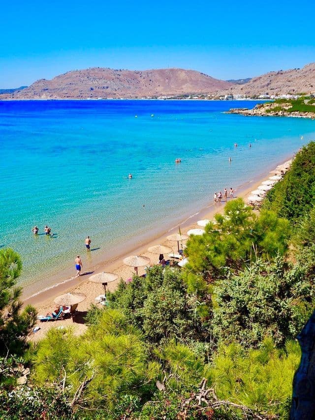 Una vista dall'alto di una spiaggia sabbiosa dove le persone nuotano in acque limpide color turchese e si rilassano sotto ombrelloni di paglia.