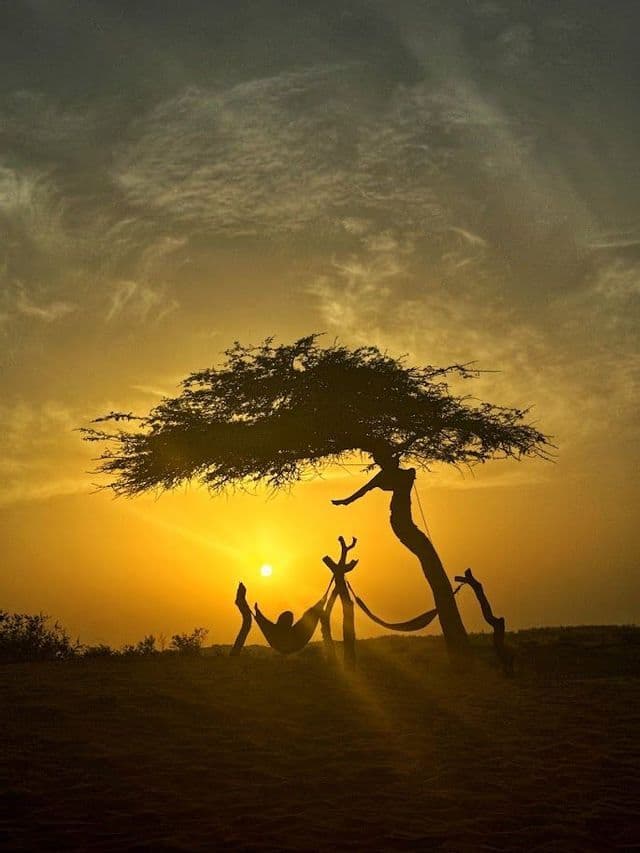 Una persona in silhouette riposa su un'amaca sotto un albero, al tramonto dorato nel deserto.