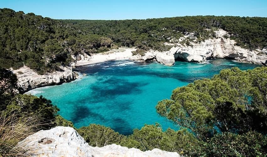 Veduta dall'alto di una caletta costiera con acqua turchese, una piccola spiaggia e scogliere ricoperte di alberi verdi.