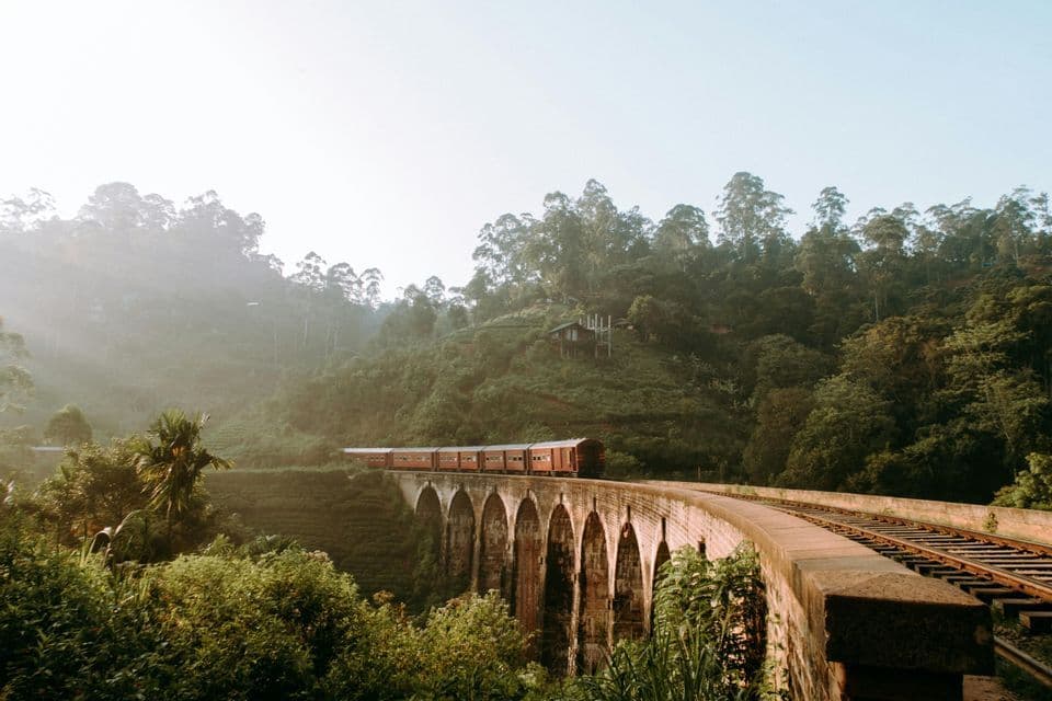 Un tren rojo viaja a través de un puente de piedra con múltiples arcos, rodeado por un bosque frondoso, verde y neblinoso.