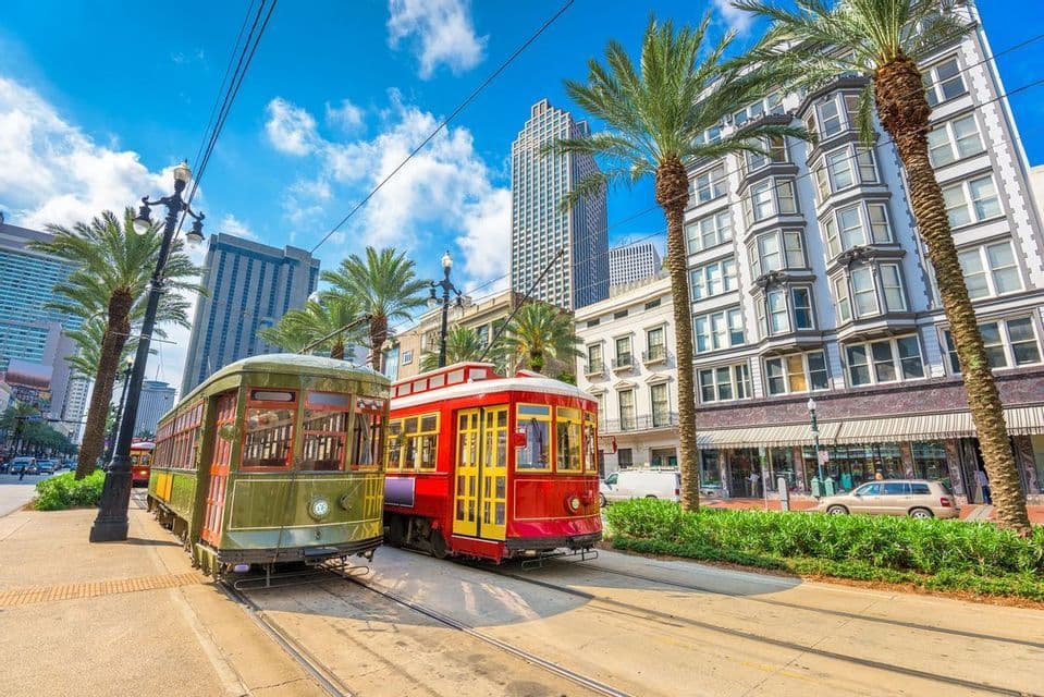 Deux tramways, un rouge et un vert, sur des rails le long d'une rue de ville bordée de palmiers et de bâtiments sous un ciel bleu.