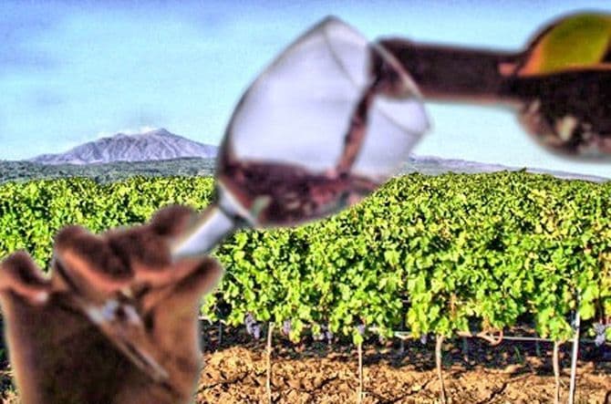 Vino rosso versato in un bicchiere, con un vigneto lussureggiante e una montagna visibile sullo sfondo.