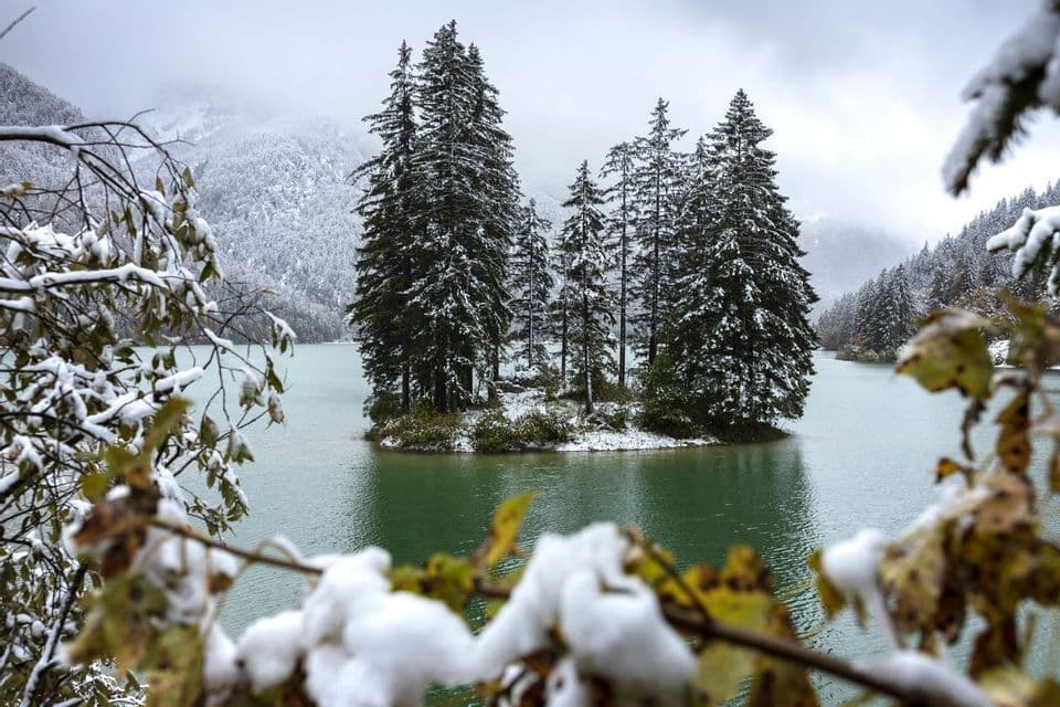 Pini innevati su una piccola isola in un lago, incorniciati da rami innevati in primo piano.