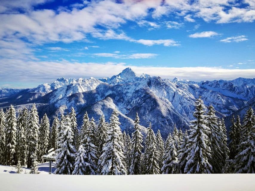 Una densa pineta coperta di neve di fronte a una vasta catena montuosa sotto un cielo azzurro con nuvole sparse.