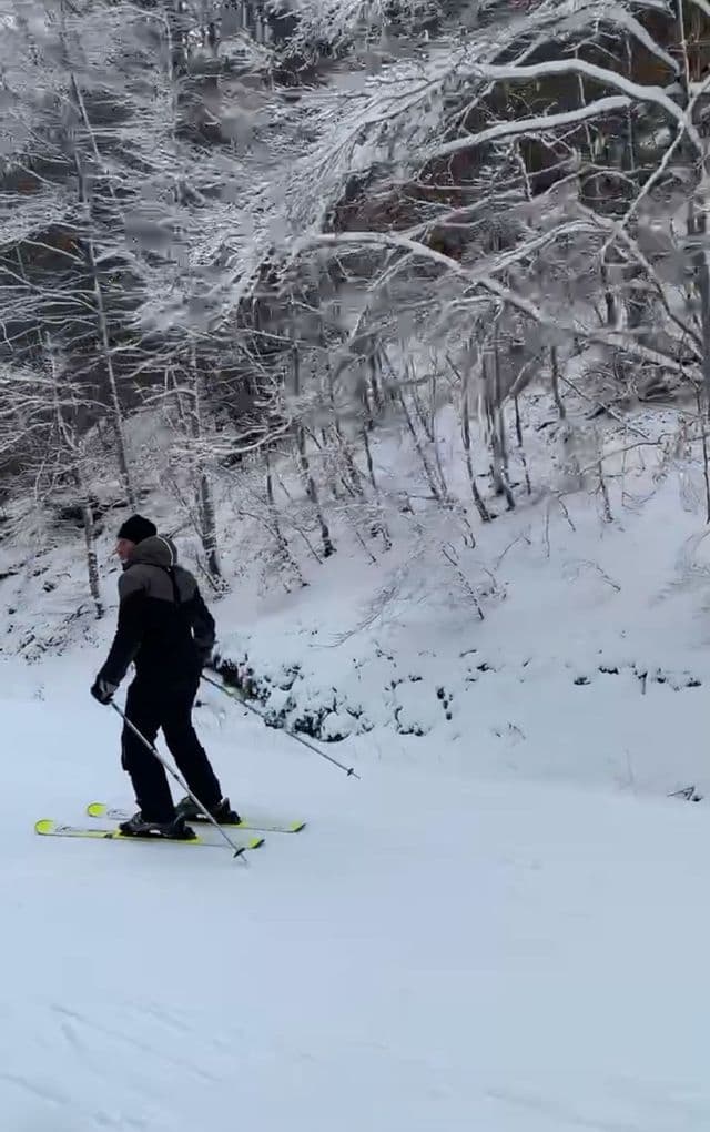 Una persona con sci e attrezzatura invernale si trova su un sentiero innevato in un bosco.