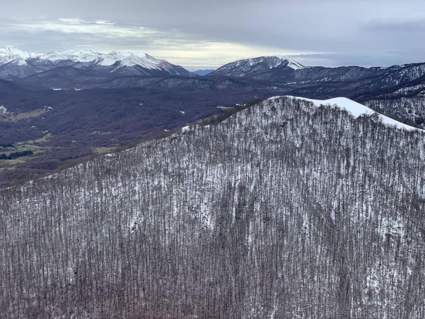 Un fianco di montagna coperto di neve e alberi spogli, con lontane cime innevate sotto un cielo grigio e coperto.