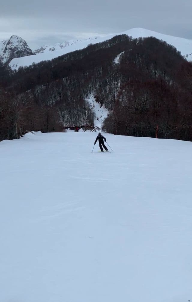 Uno sciatore solitario in tenuta scura scende un ampio pendio innevato con una fitta foresta e montagne sullo sfondo.