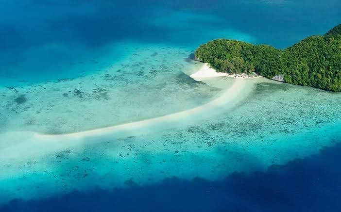 Una vista aerea di un'isola tropicale lussureggiante e verde con una lingua di sabbia bianca che si estende nell'oceano limpido color turchese e blu profondo