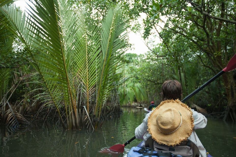 Una persona con un cappello di paglia, vista di spalle, pagaia in kayak attraverso uno stretto corso d'acqua in una lussureggiante foresta di mangrovie.