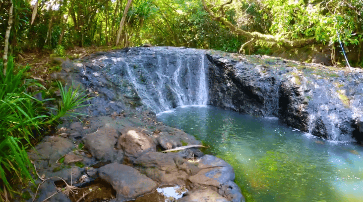 Una piccola cascata scende su rocce scure e bagnate in una pozza limpida, circondata da una rigogliosa vegetazione e alberi tropicali.