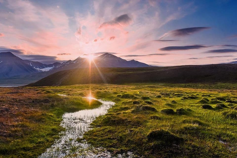 Il sole splende da dietro montagne lontane, illuminando una valle verde e muschiosa con un ruscello serpeggiante sotto un cielo dai toni rosati.