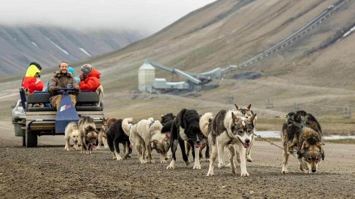 Un viaggio di gruppo WeRoad si muove su una slitta a ruote trainata da cani husky, su una strada sterrata con montagne brulle sullo sfondo.