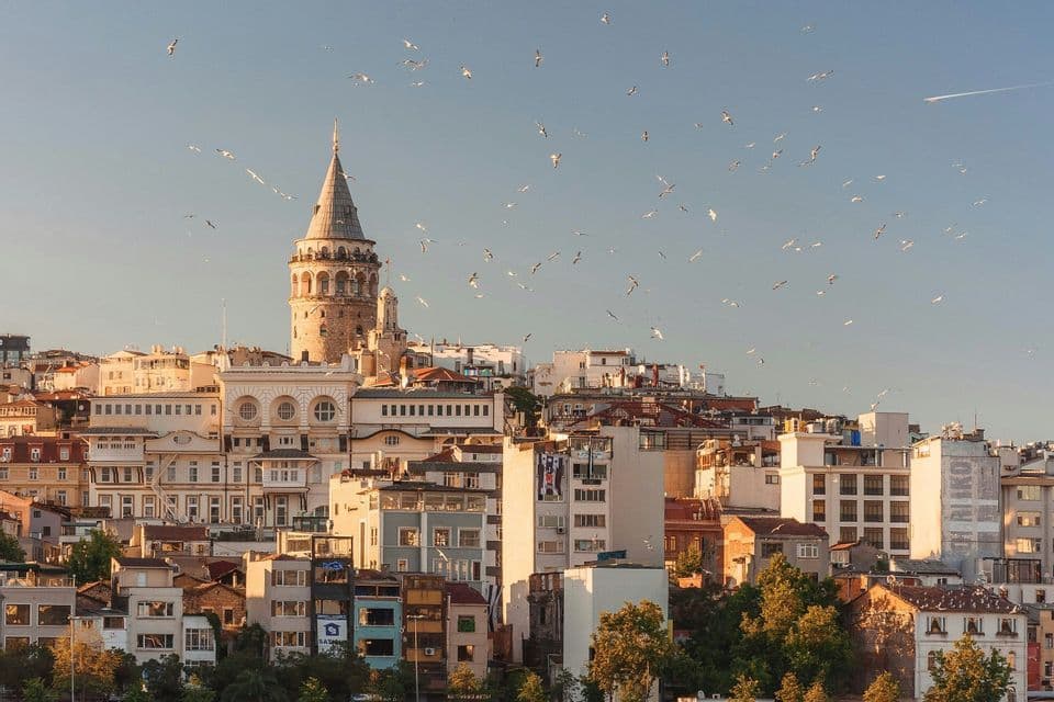 Una histórica torre de piedra con techo cónico se alza sobre un denso paisaje urbano, con una bandada de pájaros volando por un cielo despejado.