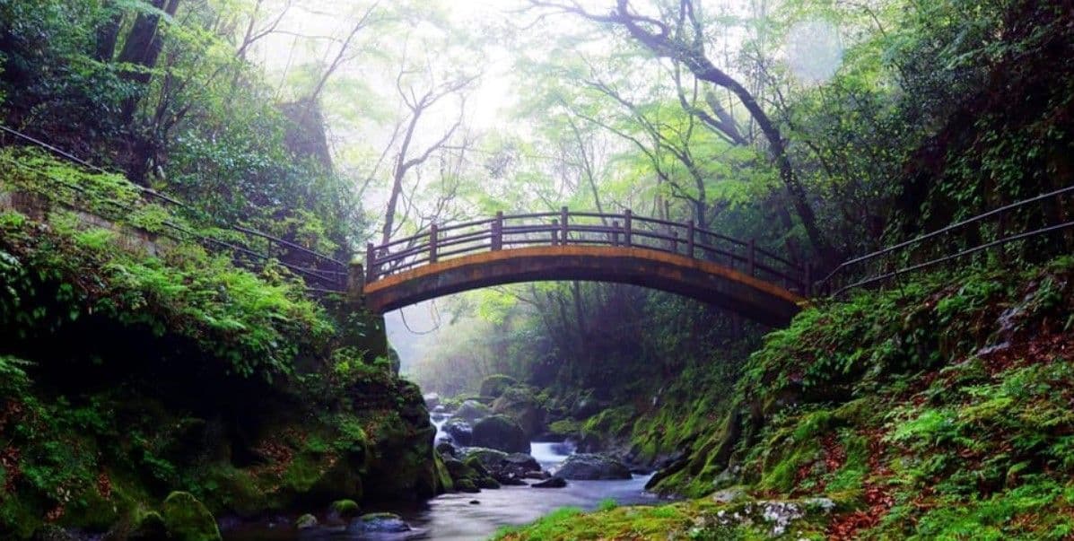 Un ponticello di legno con un parapetto scuro si inarca su un ruscello roccioso in una foresta lussureggiante e nebbiosa con sponde coperte di muschio.