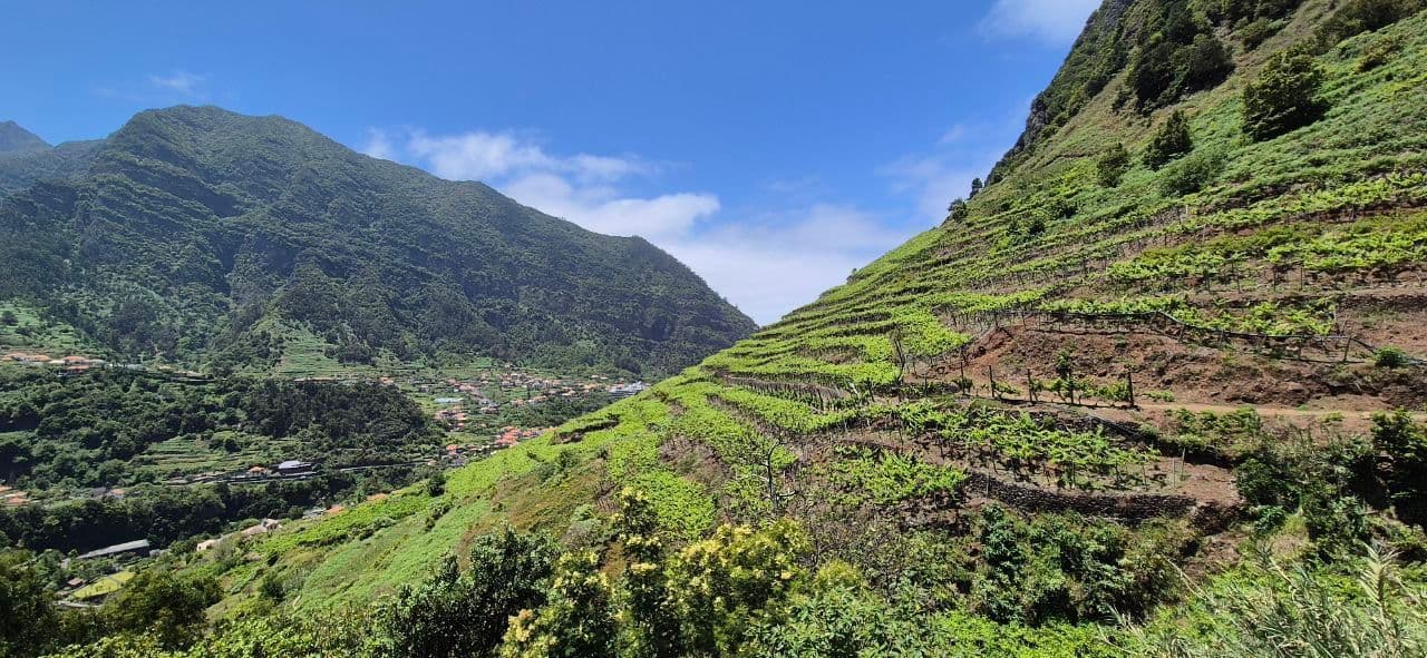 Vigneti terrazzati coprono un ripido pendio che si affaccia su un villaggio in una lussureggiante valle verde sotto un cielo azzurro.