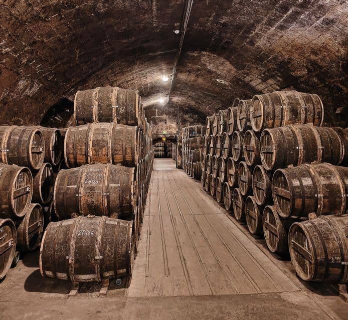 Pilas de barriles de madera bordean un pasillo dentro de una larga bodega de piedra abovedada.
