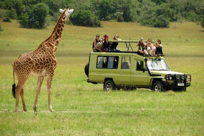 Un grupo de WeRoad en el techo de un jeep de safari observa una jirafa alta en una sabana con hierba.