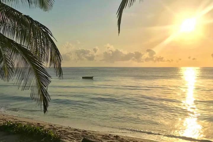 Un barco solitario flota en aguas tranquilas del océano al amanecer, con el sol reflejándose en la superficie y frondas de palmera encuadrando la vista.