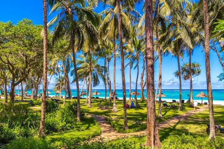 Una vista desde un parque a través de altas palmeras de una playa de arena blanca y mar turquesa bajo un cielo azul claro.