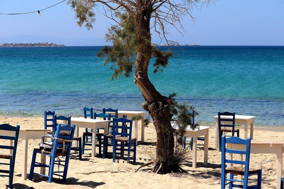 Sedie blu e tavoli bianchi sono disposti su una spiaggia sabbiosa, accanto a un albero contorto, di fronte al mare turchese.