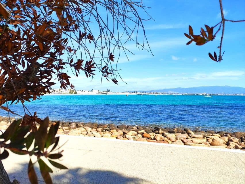 Vista de una costa rocosa con mar turquesa y un litoral lejano, enmarcada por ramas de árboles con hojas marrones.