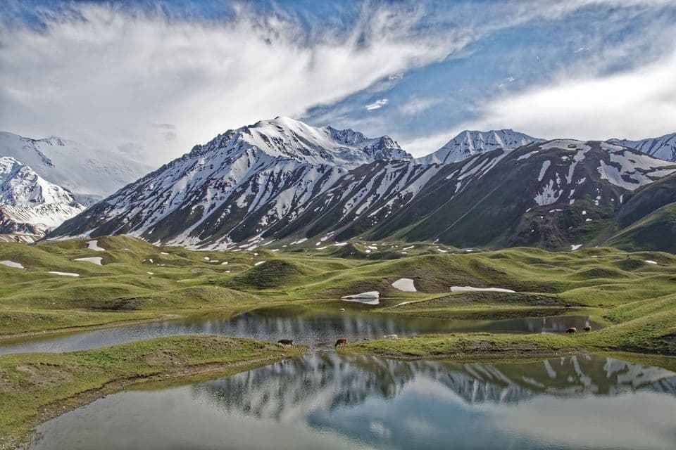 Animali pascolano accanto a un lago sereno che riflette montagne innevate e un cielo blu, circondato da dolci colline verdi.