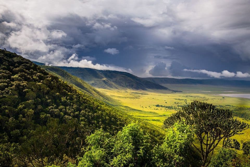 A high-angle view of a vast, sunlit green valley surrounded by forested hills under a dramatic, cloudy sky.