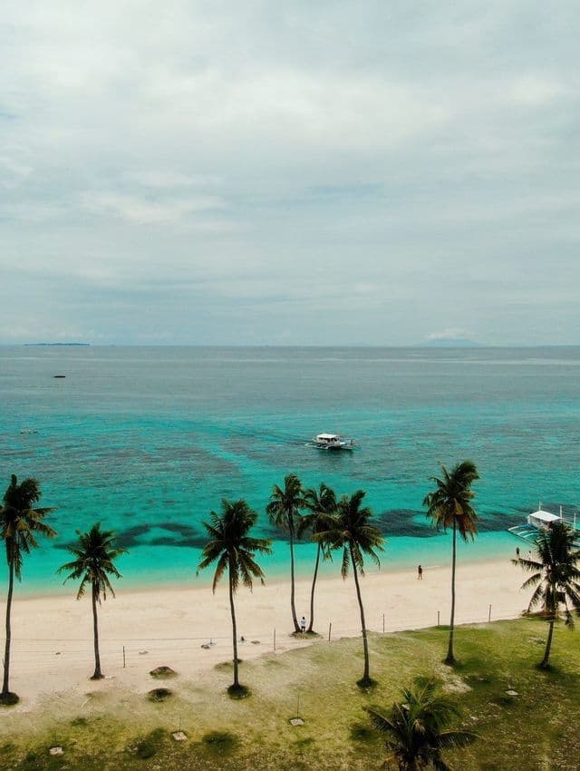 Una vista aérea de una playa tropical con altas palmeras, arena blanca y un barco en el agua turquesa.
