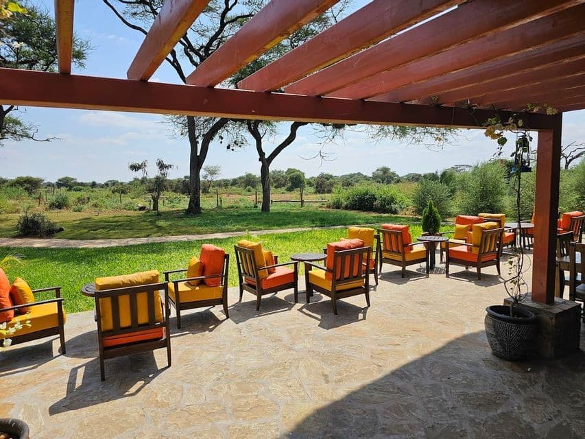 Asientos al aire libre con sillas naranjas y amarillas en un patio de piedra bajo una pérgola de madera, con vistas a un paisaje de sabana.