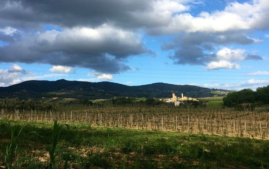 Un vigneto in primo piano con una città turrita e colline ondulate in lontananza sotto un cielo parzialmente nuvoloso.