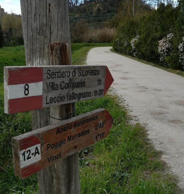 Due cartelli escursionistici in legno su un palo che indicano a destra, accanto a un sentiero sterrato che si snoda attraverso la campagna verde.