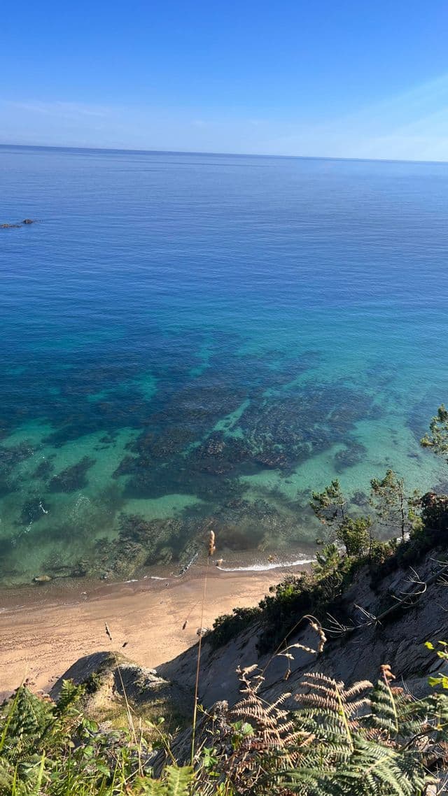 Una vista da una scogliera verdeggiante che domina una spiaggia sabbiosa e il mare turchese trasparente con rocce subacquee visibili.
