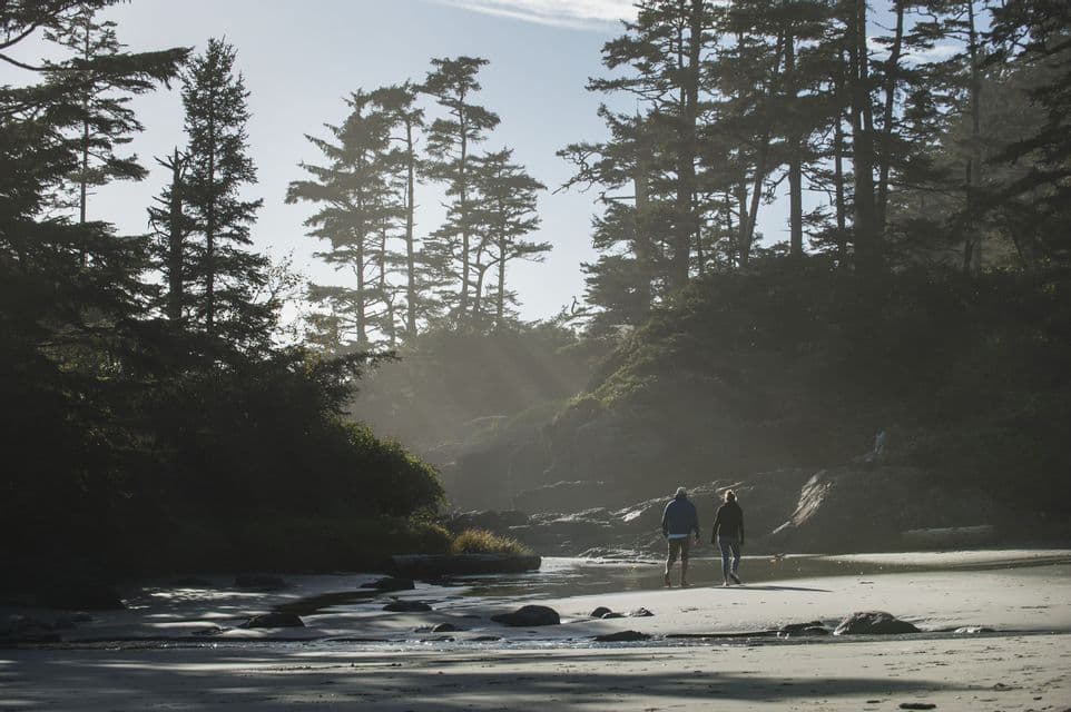Un homme et une femme marchent sur une large plage de sable fin près d'une forêt dense, avec des rayons de soleil filtrant à travers les arbres.