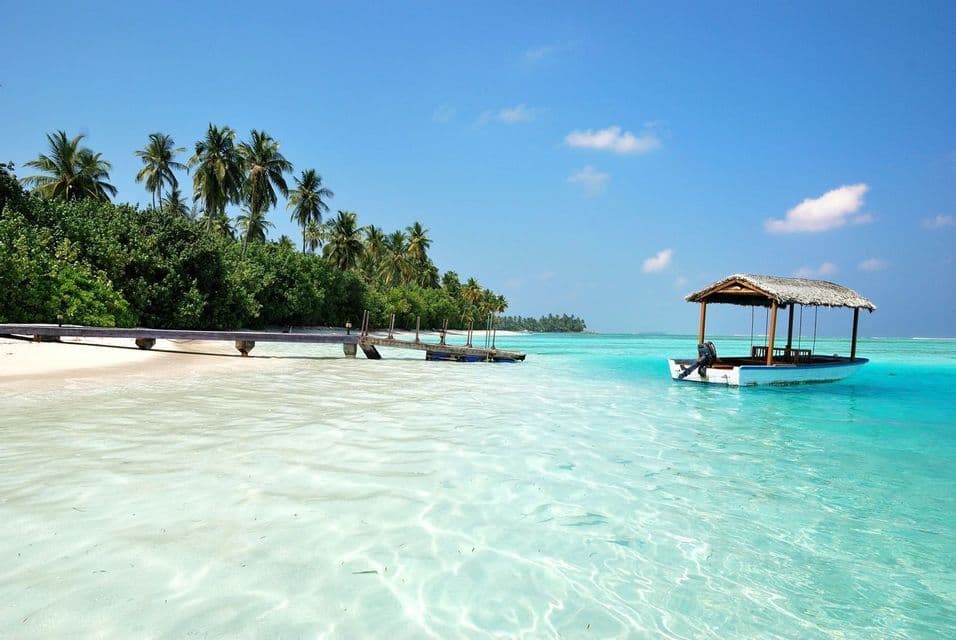 Un petit bateau au toit de chaume flotte dans des eaux turquoise claires, au large d'une plage tropicale avec une jetée en bois et des palmiers.