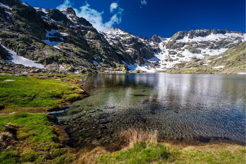 Un claro lago de montaña refleja picos nevados bajo un cielo azul profundo, con una orilla de hierba verde en primer plano.