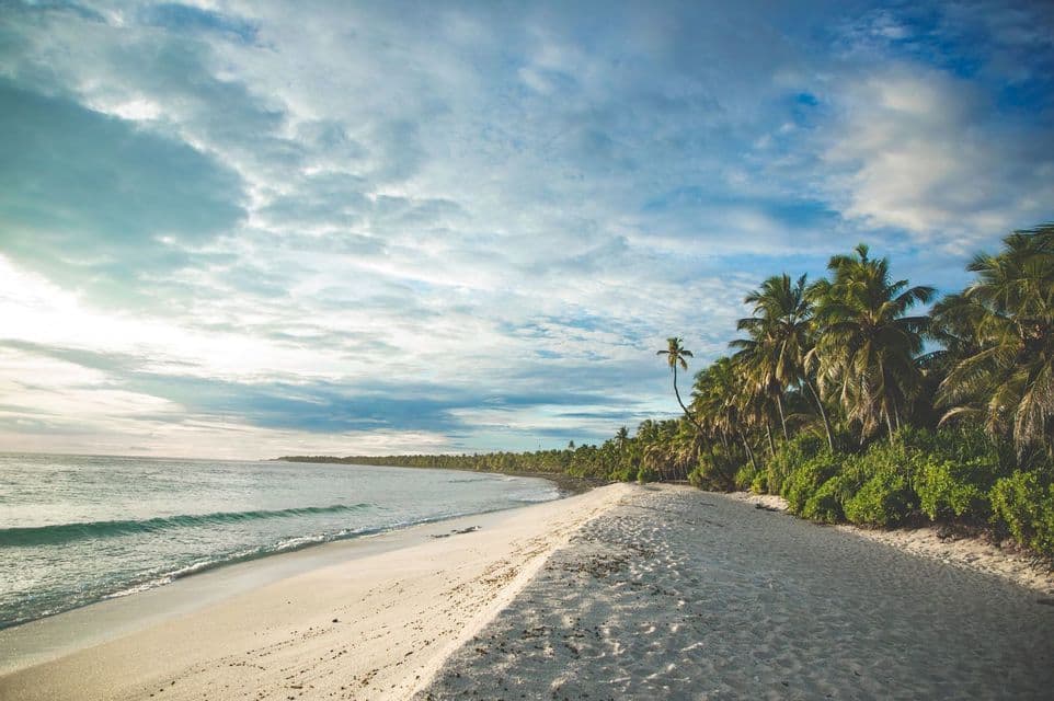 Una lunga spiaggia sabbiosa e deserta con onde oceaniche calme su un lato e una fitta fila di palme sull'altro.