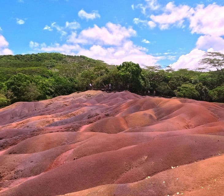 Un groupe WeRoad se tient sur un point de vue dominant des dunes vallonnées de terre multicolore avec une forêt en arrière-plan.