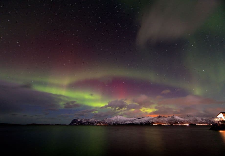 La aurora boreal brilla con luz verde y púrpura en un cielo estrellado sobre un fiordo oscuro y montañas cubiertas de nieve.
