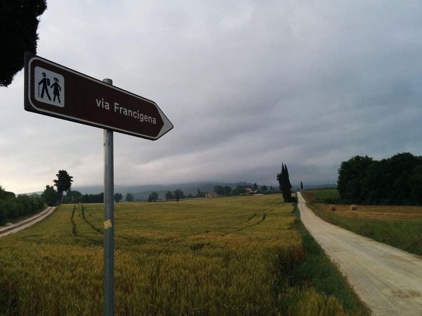 Un cartello marrone indica il sentiero della Via Francigena, una strada sterrata accanto a un campo di grano sotto un cielo nuvoloso.